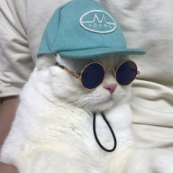 dxrch
